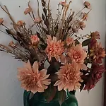 Bed & Breakfast Le Terrazze Bastia (Savona)