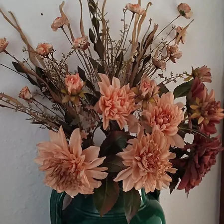 Nocleg ze śniadaniem Le Terrazze Bastia (Savona)