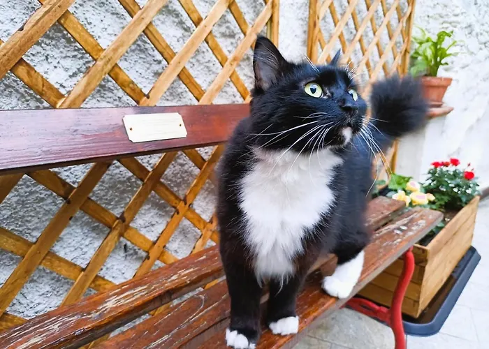 Le Terrazze Alojamento de Acomodação e Pequeno-almoço 3*